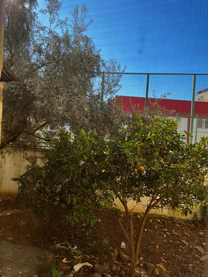Amion Apartment In Center Of Tirana Exterior foto